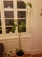 20181207_181018.jpg