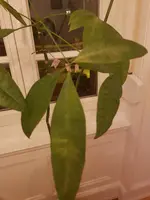 20181207_180817.jpg