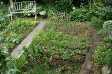 EM-Vortrag2016 033.webp