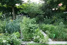 EM-Vortrag2016 037.webp