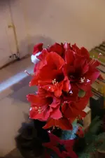 DSC07203.webp