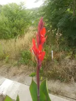 IMG_20180727_125722.webp
