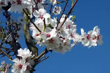 Joaquina Mandel_kl.webp