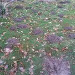 20181129_132213.webp