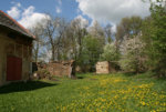 Enkengrün2912a.jpg