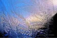Eisblumen.webp