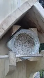 Fettglas.webp
