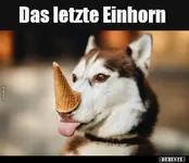 Einhorn.webp
