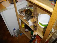 IMGP7153.webp