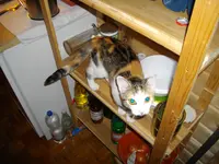IMGP7155.webp