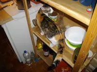 IMGP7154.webp