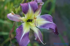 comp_DSC05525.webp