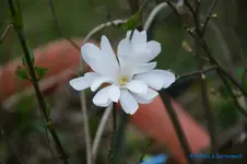 comp_DSC04777.webp