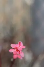 0M3A3374.webp