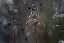 0M3A3379.webp