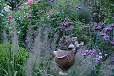 Gartenimpressionen6111.jpg