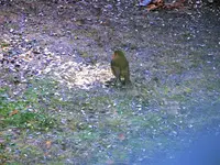 image003.webp
