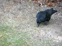image005.webp