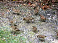 image006.jpg