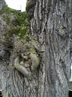DSCF2801 (2).webp