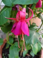 20180714_172039.webp
