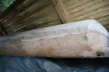 DSC07215.webp