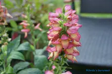 comp_DSC05383.webp