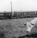 FLUM WOHNWAGEN_1.webp