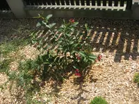 IMG_0077.webp