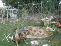 CIMG2158.webp