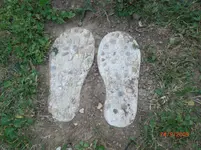 CIMG2159.webp