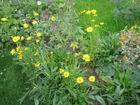 035.webp