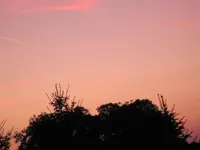 IMG_0704.webp