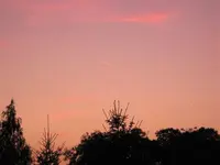 IMG_0705.webp