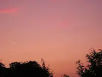 IMG_0708.webp