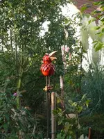 P1080967_450_600.webp
