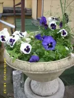 JD500134.webp
