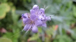 a037 (2).webp