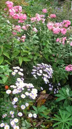 g027.webp