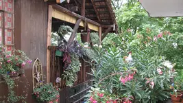 g044.webp