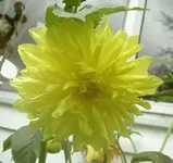 Sommer 2009 742.webp