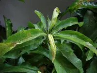 DSC01138 (Large).webp