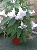 5970.webp