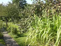 Garten September509 005.webp