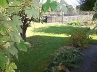 Garten September509 006.webp