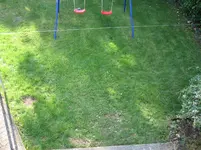 Wiese06 27.9.09.webp