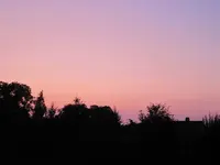 IMG_0739.webp