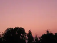 IMG_0741.webp