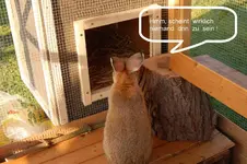 Nz342.webp