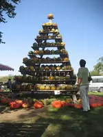 garten 09 002.webp